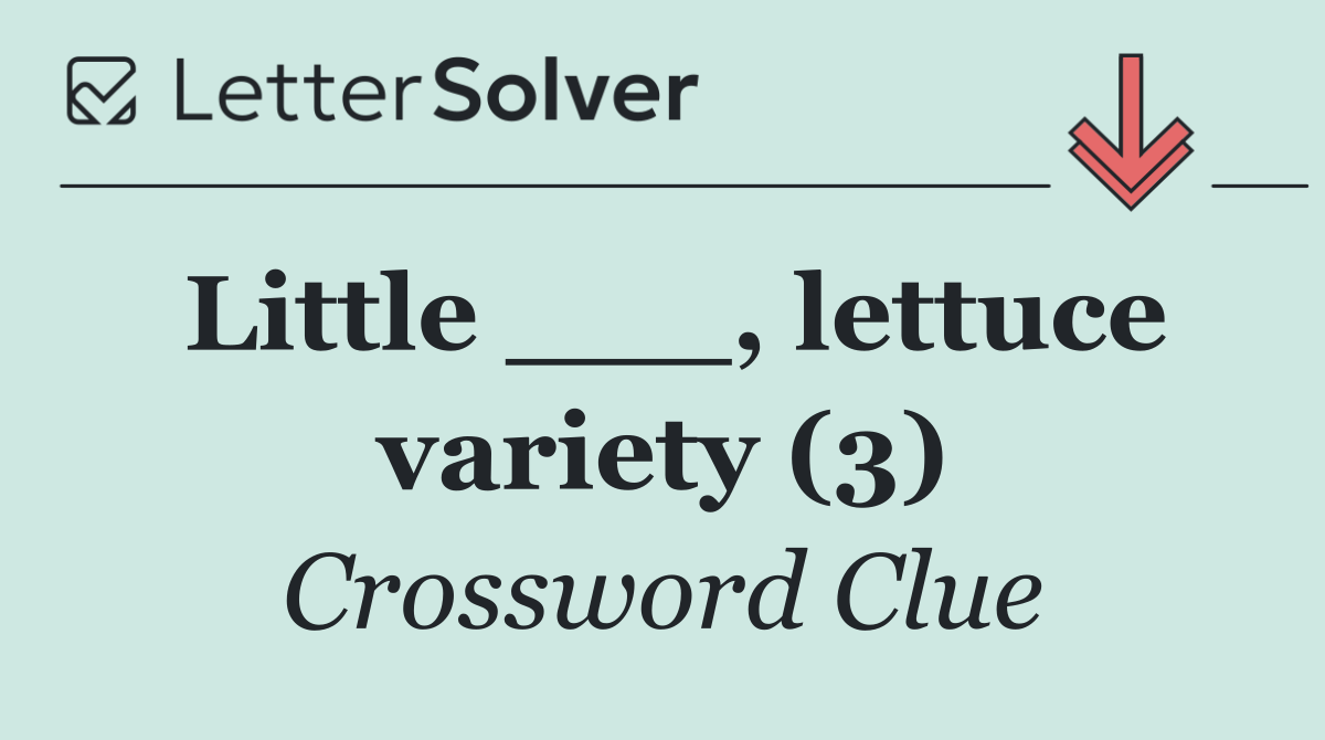 Little ___, lettuce variety (3)