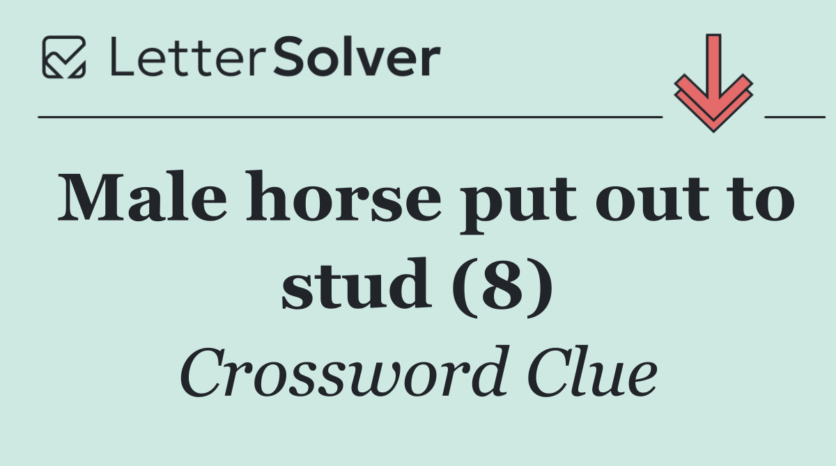 Male horse put out to stud (8)