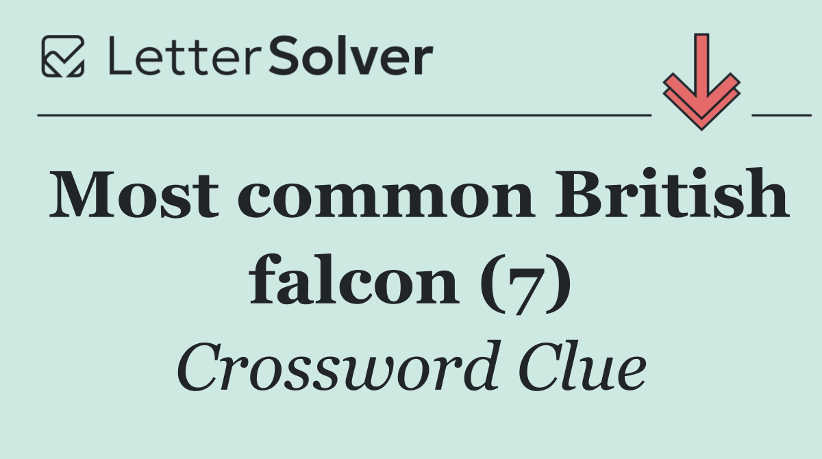Most common British falcon (7)