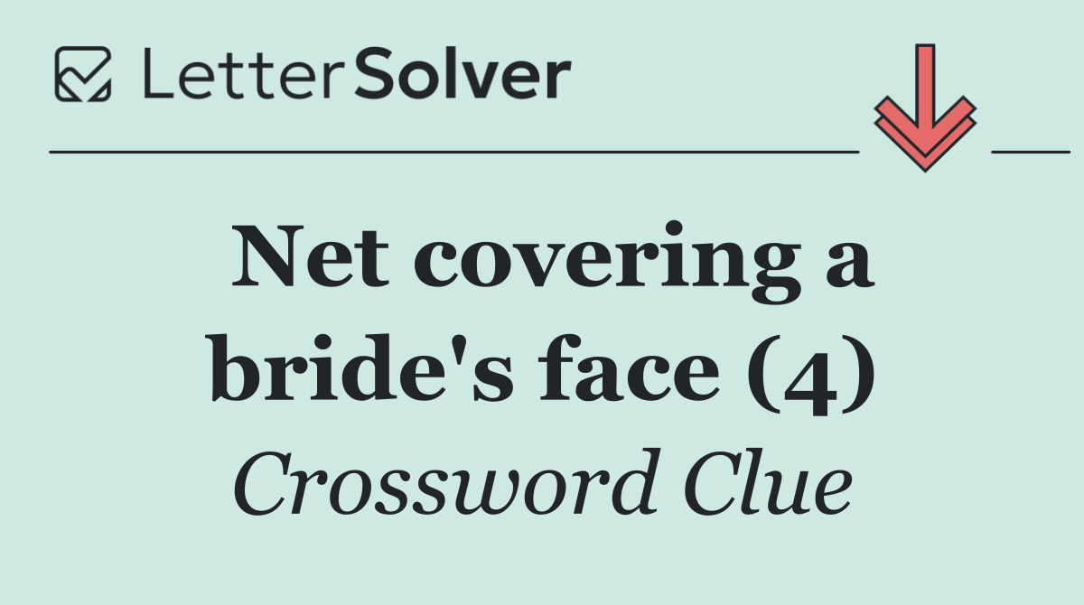 Net covering a bride's face (4)