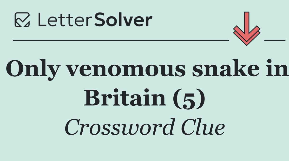 Only venomous snake in Britain (5)