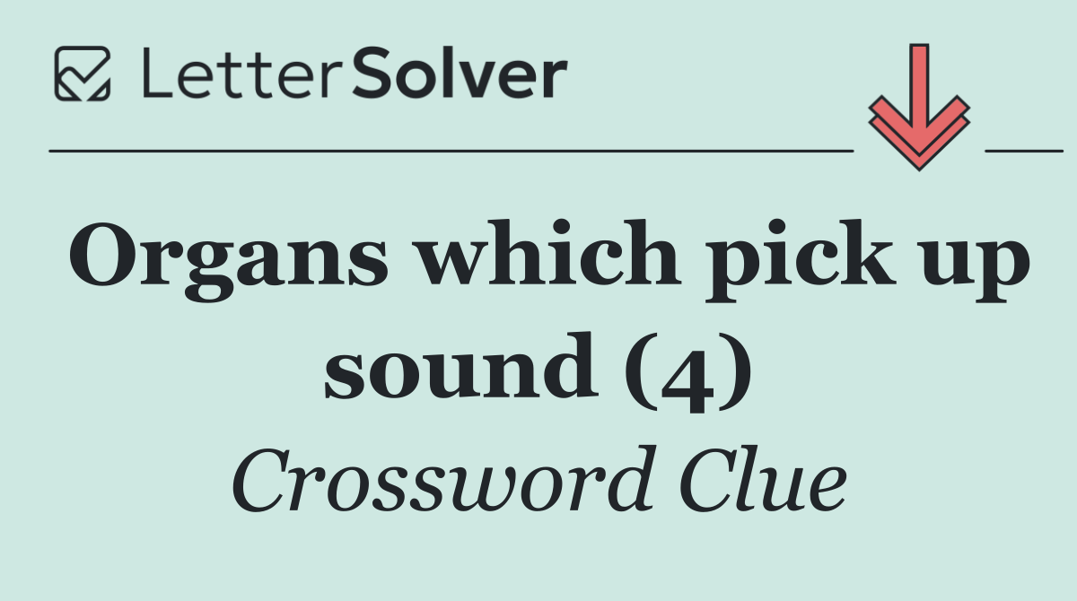 Organs which pick up sound (4)