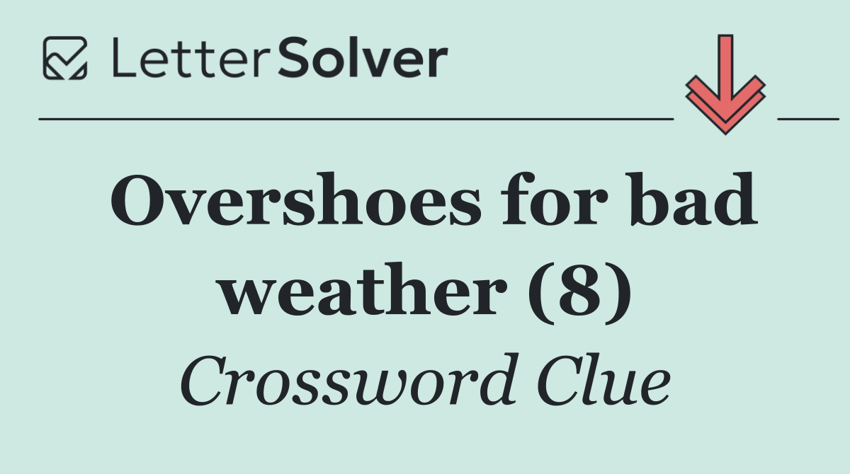 Overshoes for bad weather (8)