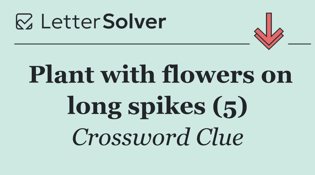 Plant with flowers on long spikes (5)