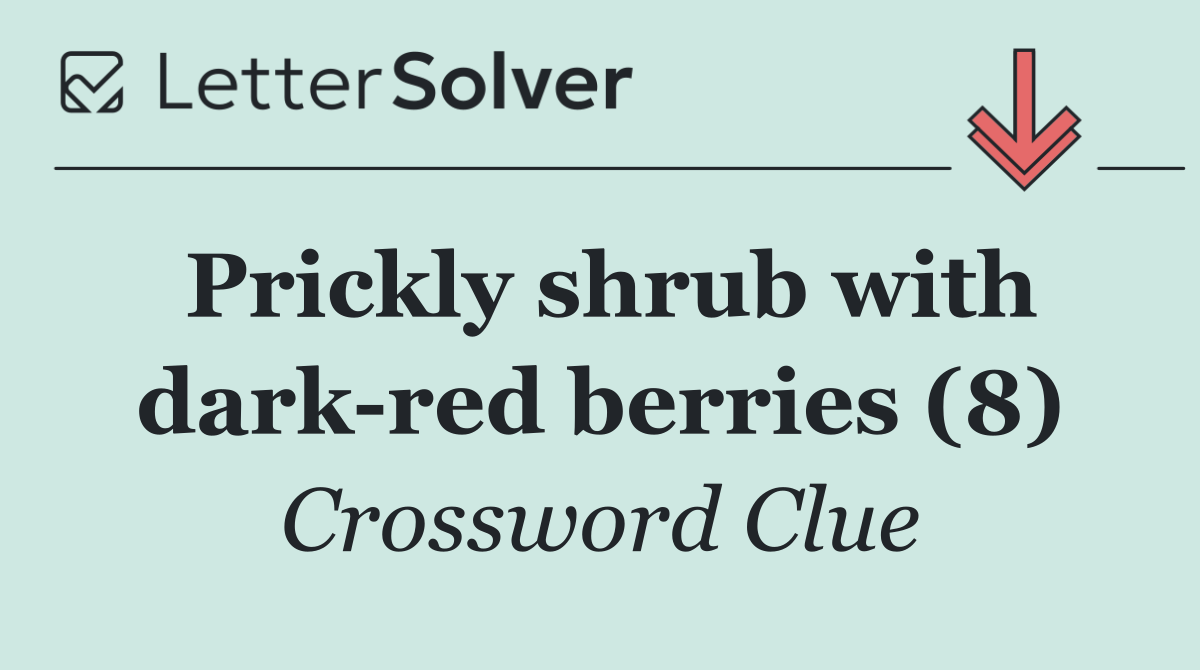 Prickly shrub with dark red berries (8)