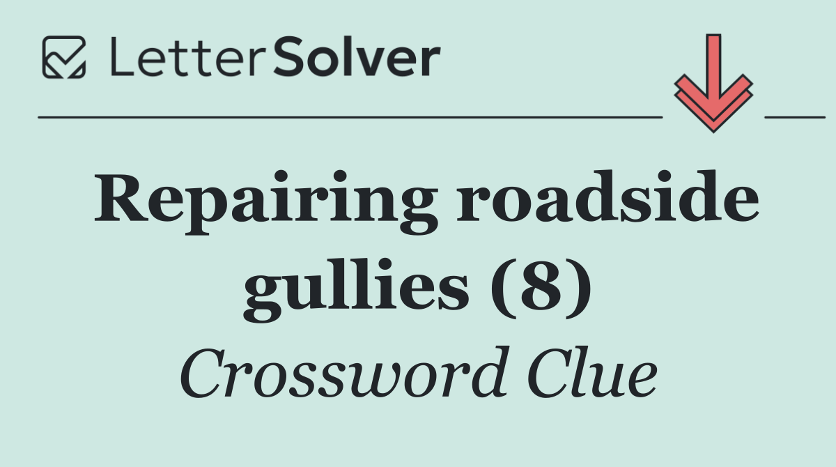 Repairing roadside gullies (8)