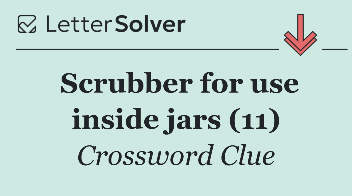 Scrubber for use inside jars (11)