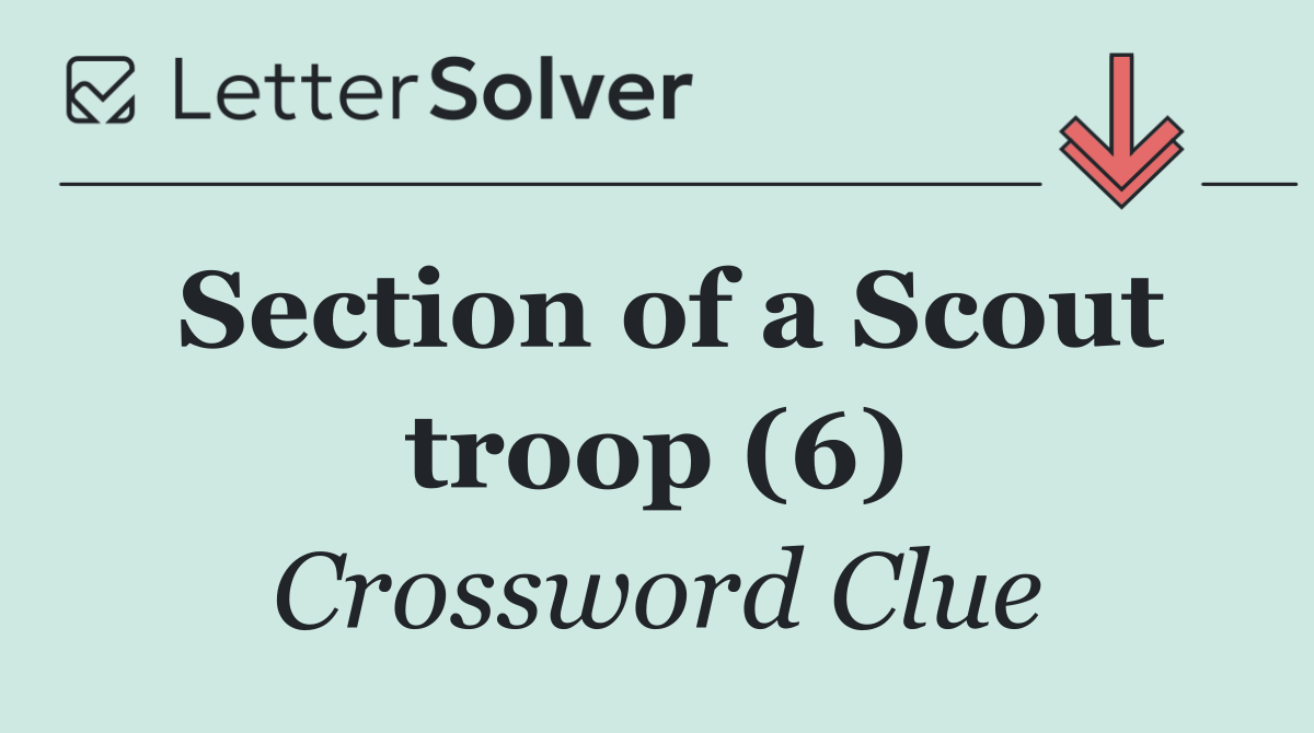 Section of a Scout troop (6)