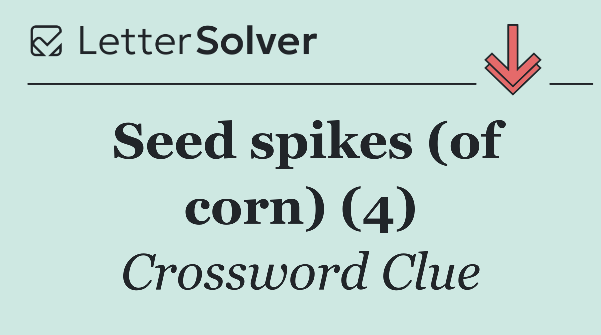 Seed spikes (of corn) (4)