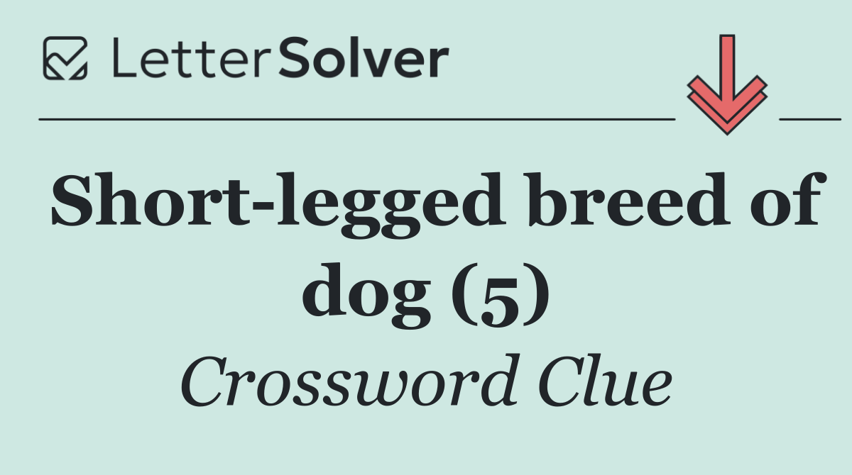 Short legged breed of dog (5)