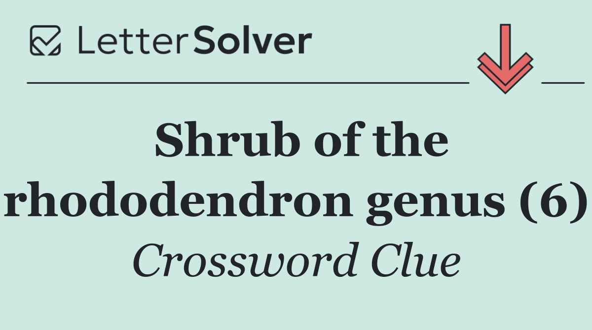 Shrub of the rhododendron genus (6)