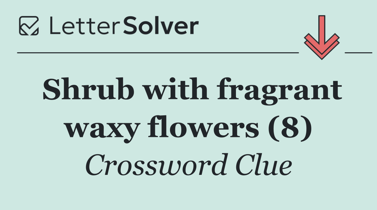 Shrub with fragrant waxy flowers (8)