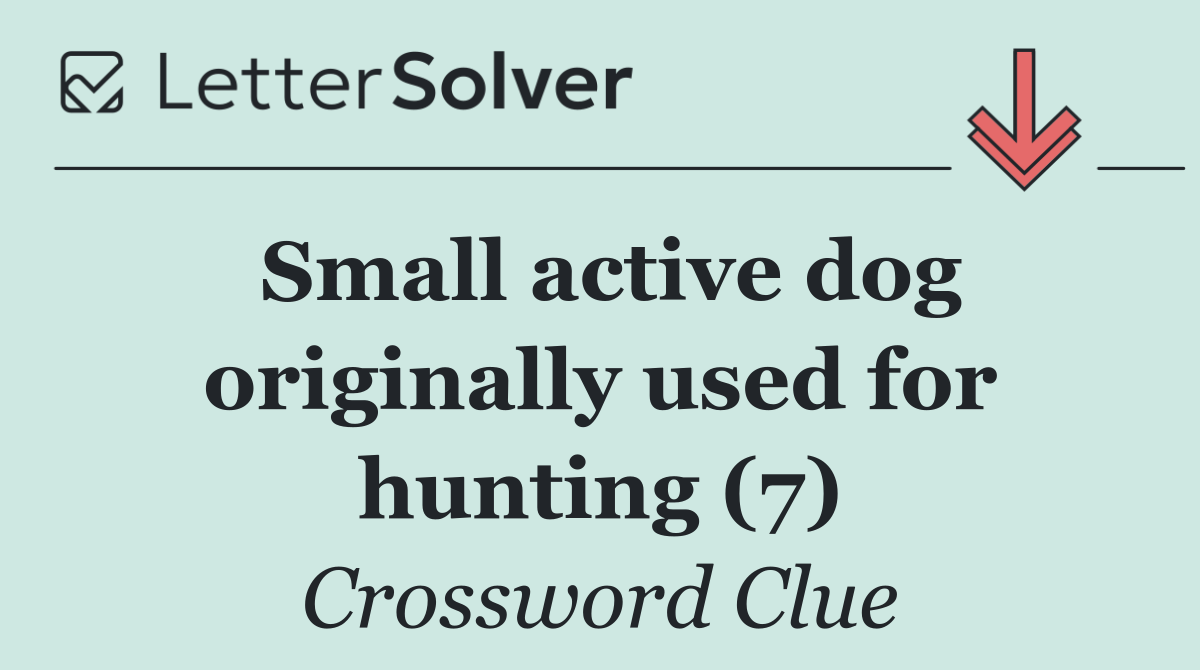 Small active dog originally used for hunting (7)