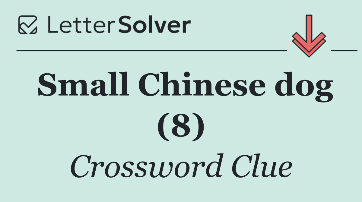 Small Chinese dog (8)