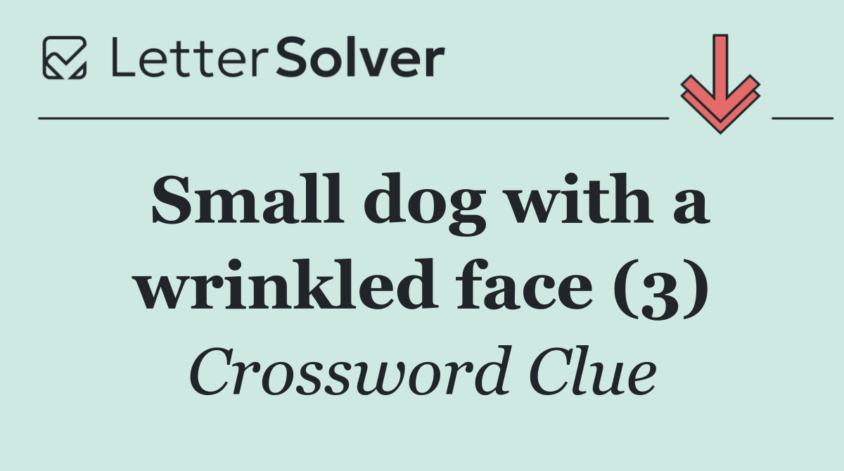 Small dog with a wrinkled face (3)
