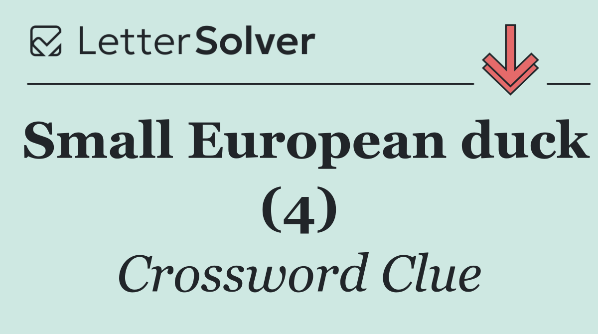 Small European duck (4)