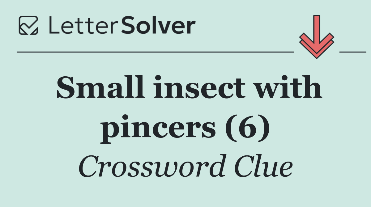 Small insect with pincers (6)