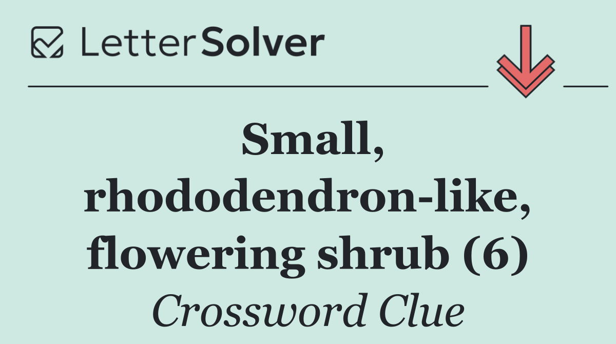 Small, rhododendron like, flowering shrub (6)