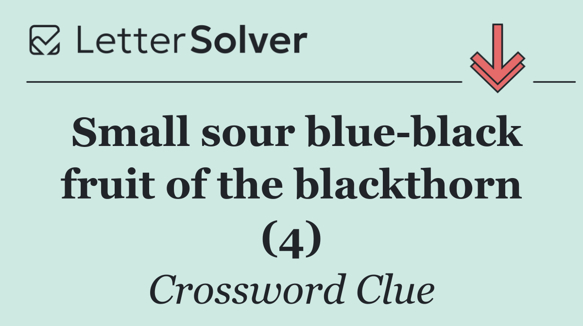 Small sour blue black fruit of the blackthorn (4)