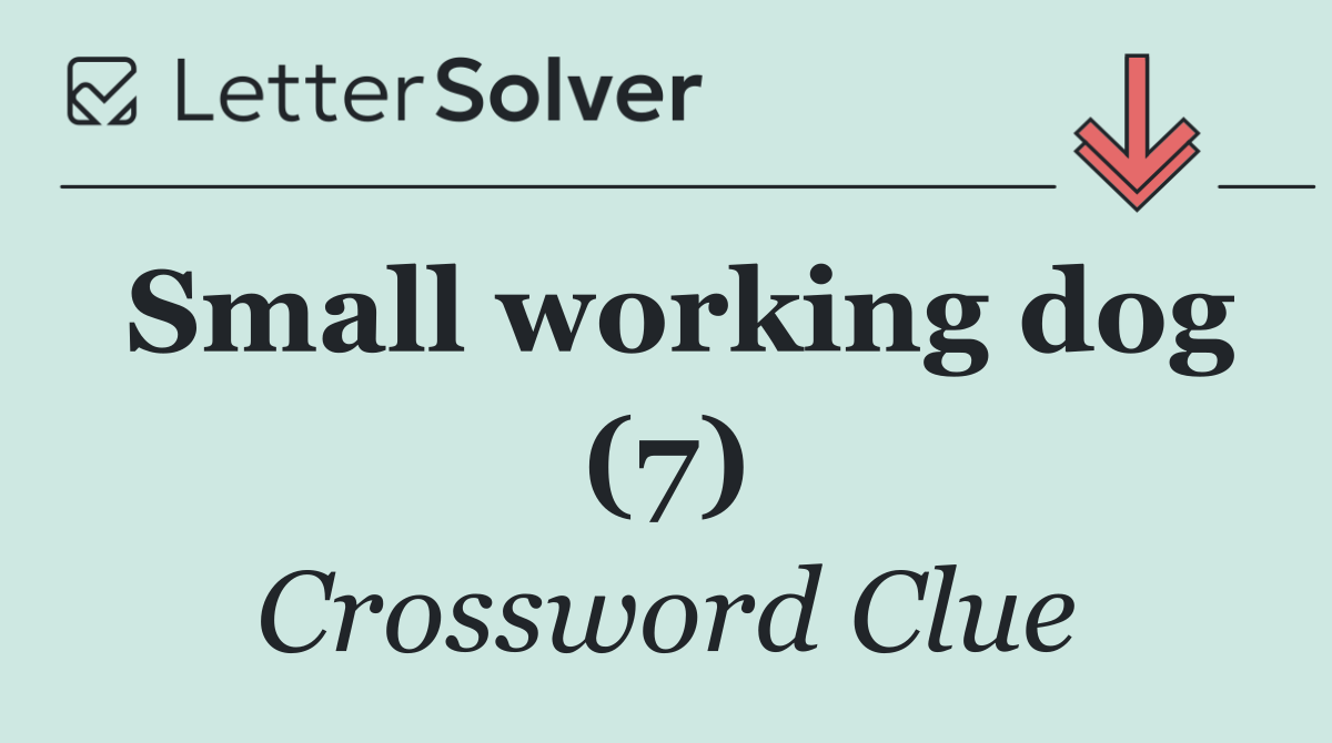 Small working dog (7)