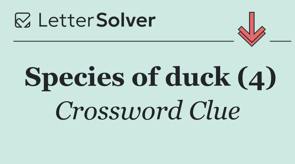 Species of duck (4)