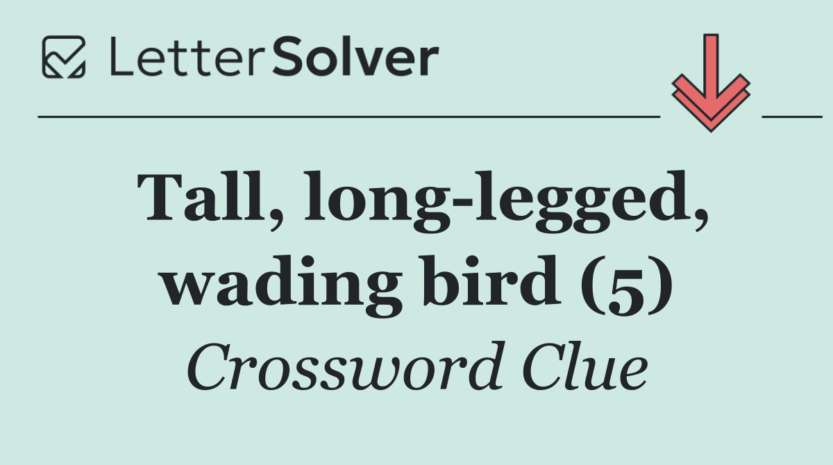 Tall, long legged, wading bird (5)