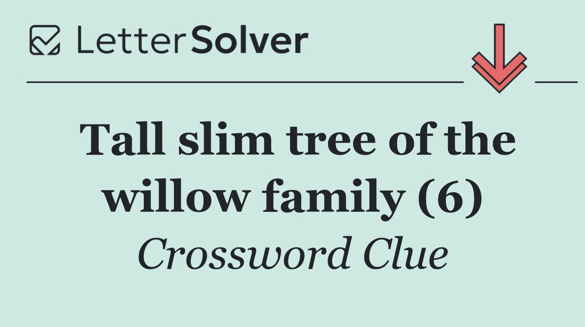 Tall slim tree of the willow family (6)