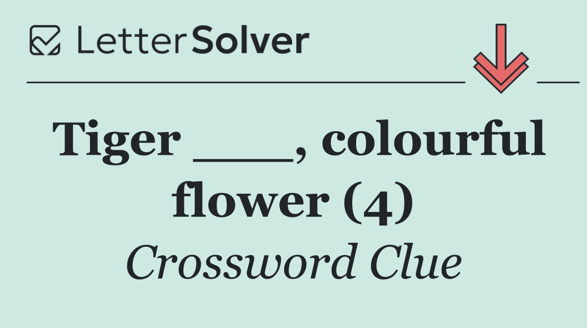 Tiger ___, colourful flower (4)