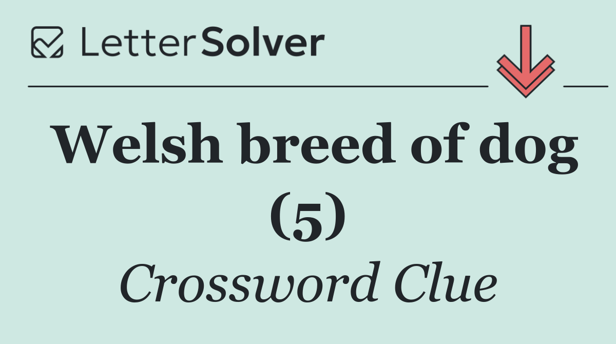 Welsh breed of dog (5)
