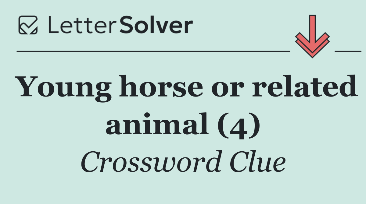 Young horse or related animal (4)