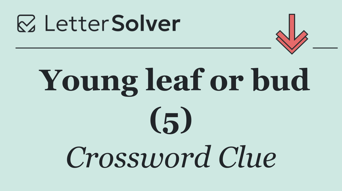 Young leaf or bud (5)