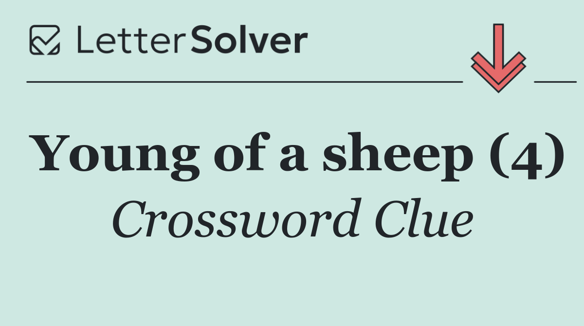 Young of a sheep (4)