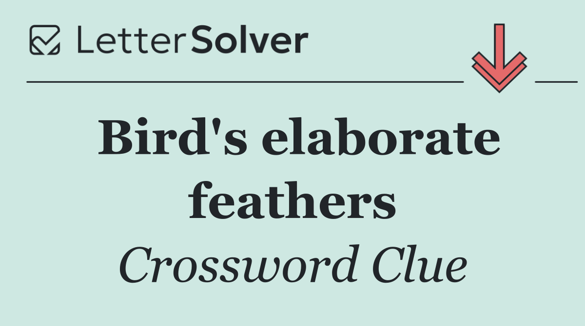 Bird's elaborate feathers