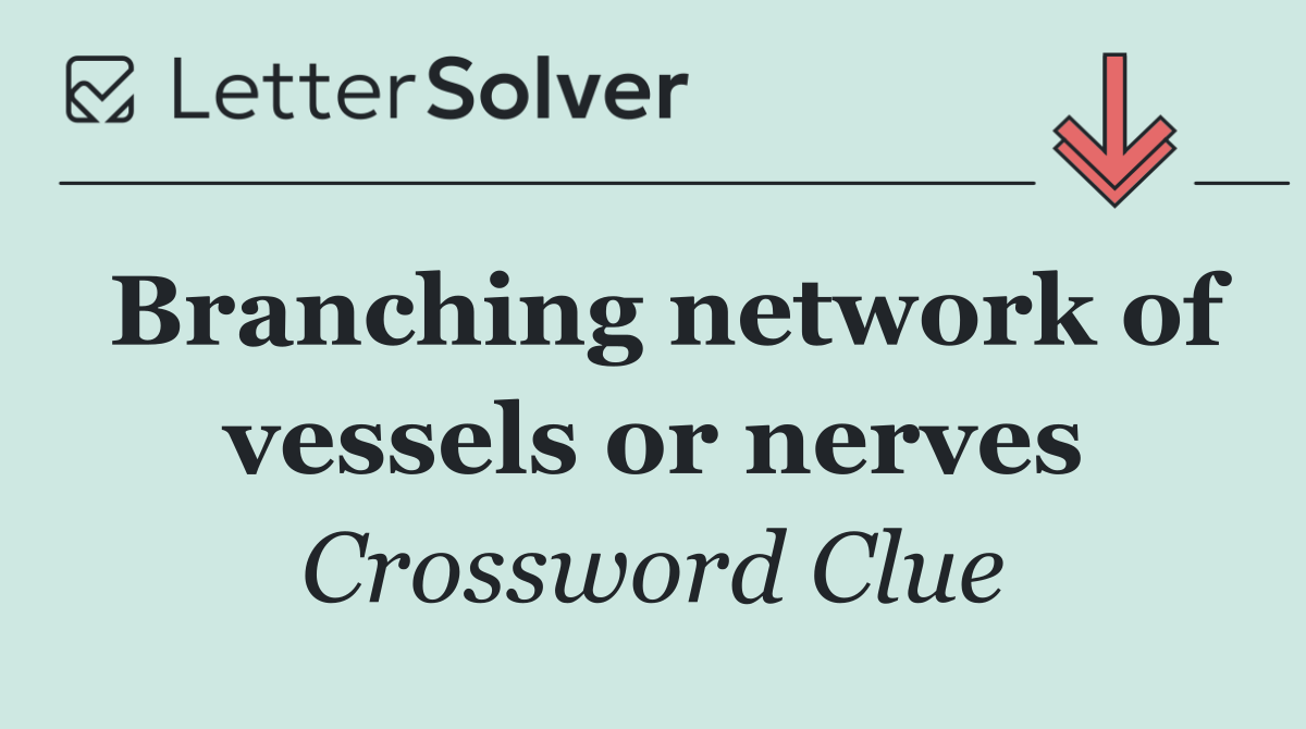 Branching network of vessels or nerves