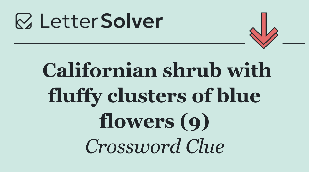 Californian shrub with fluffy clusters of blue flowers (9)