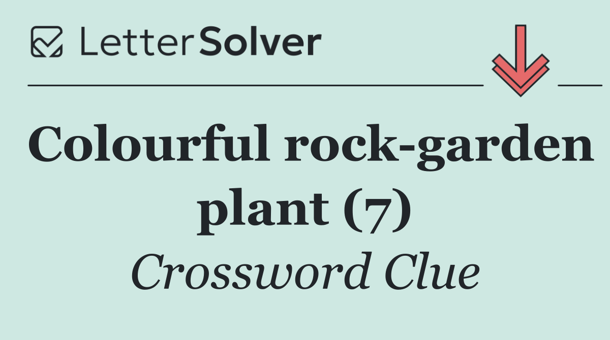 Colourful rock garden plant (7)