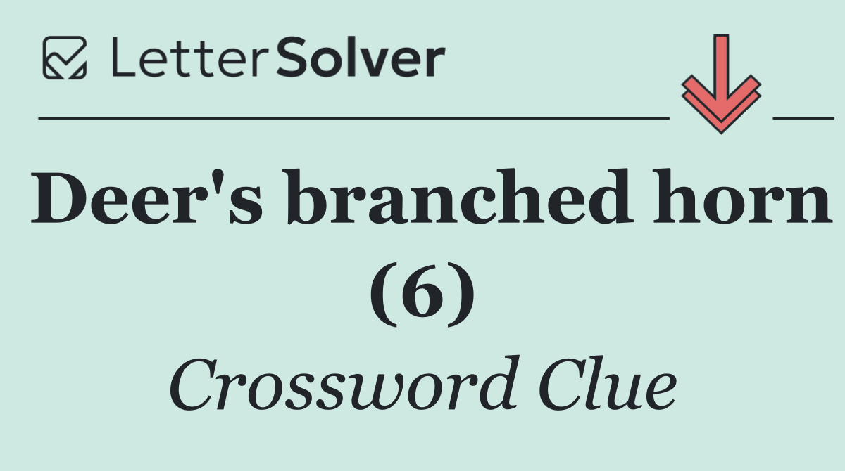 Deer's branched horn (6)