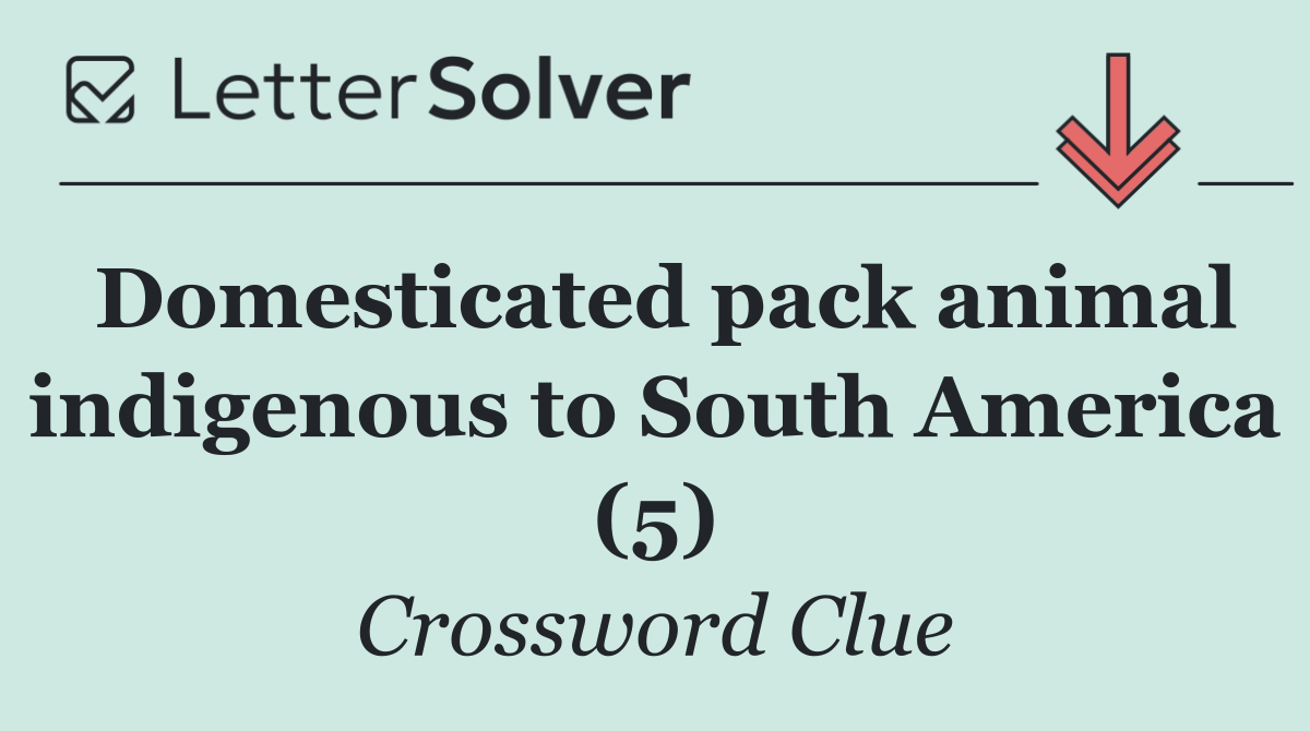 Domesticated pack animal indigenous to South America (5)
