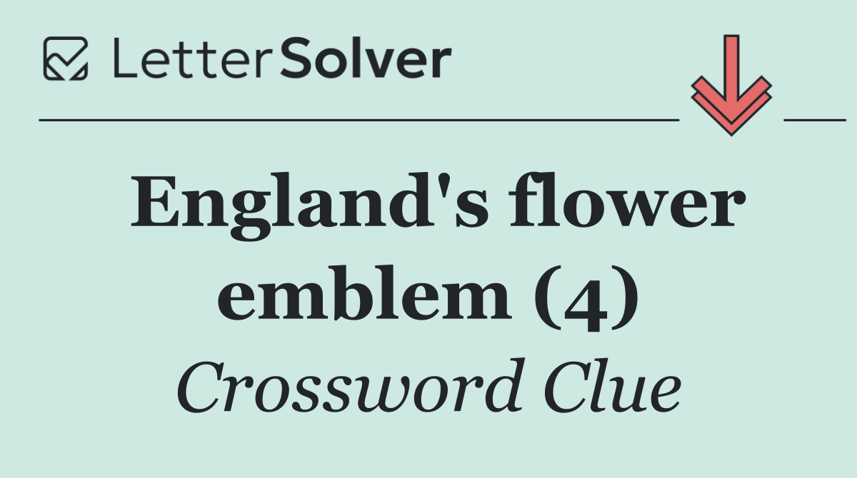 England's flower emblem (4)