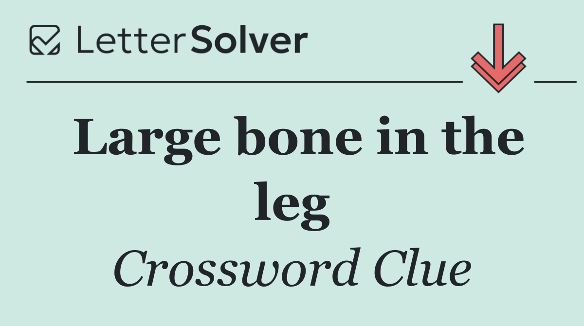 Large bone in the leg