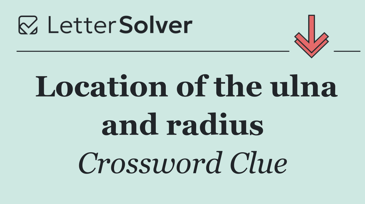 Location of the ulna and radius
