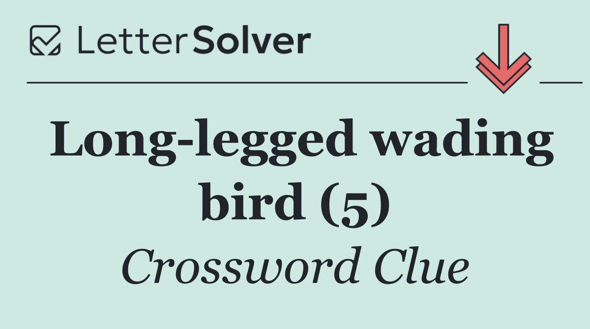 Long legged wading bird (5)