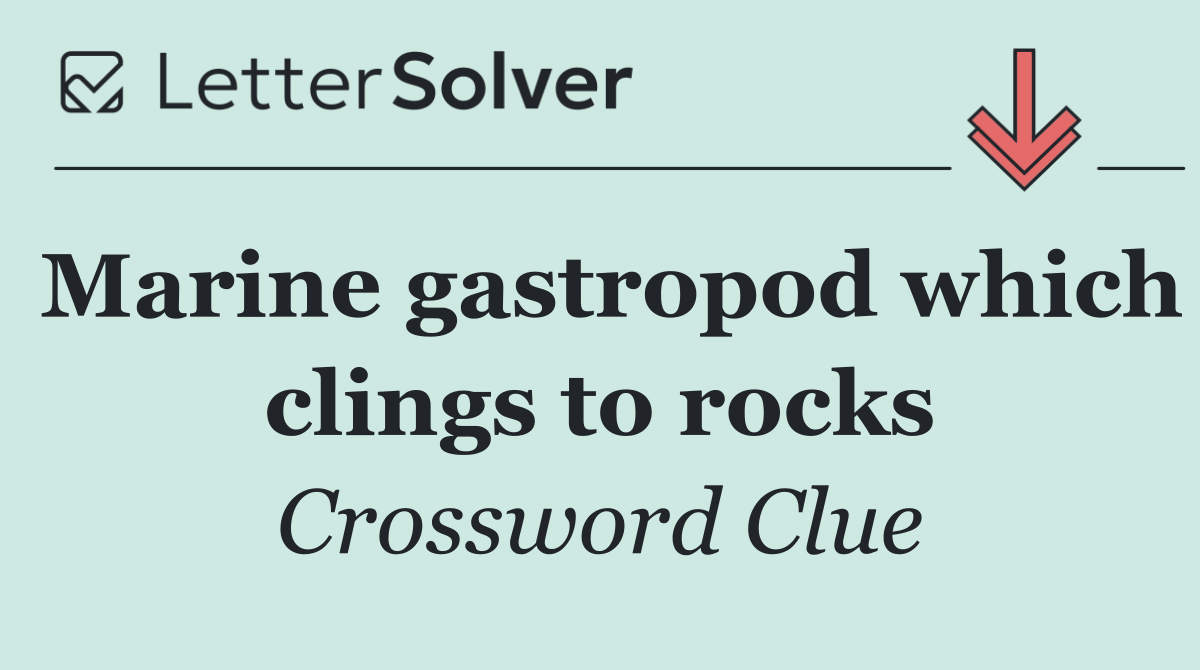 Marine gastropod which clings to rocks