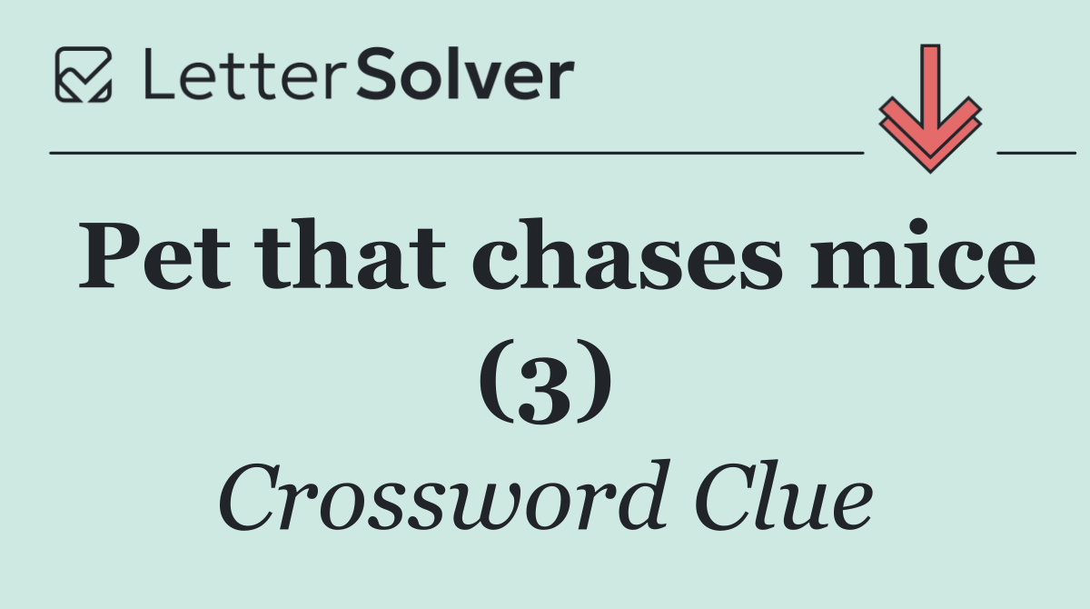 Pet that chases mice (3)