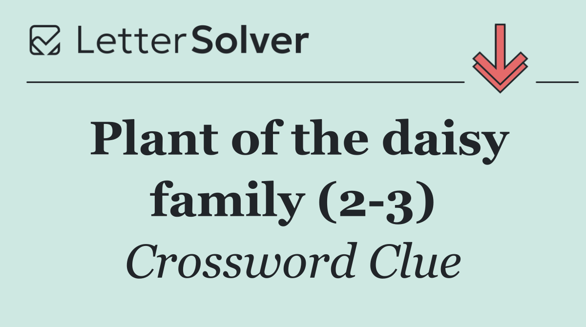 Plant of the daisy family (2 3)