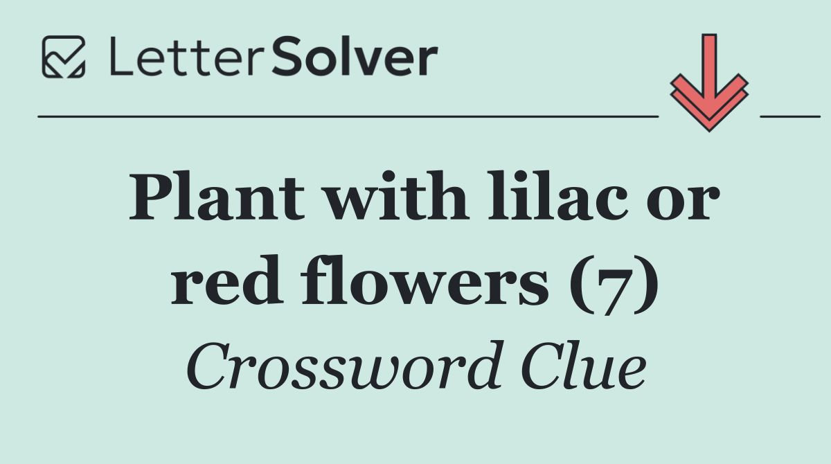 Plant with lilac or red flowers (7)