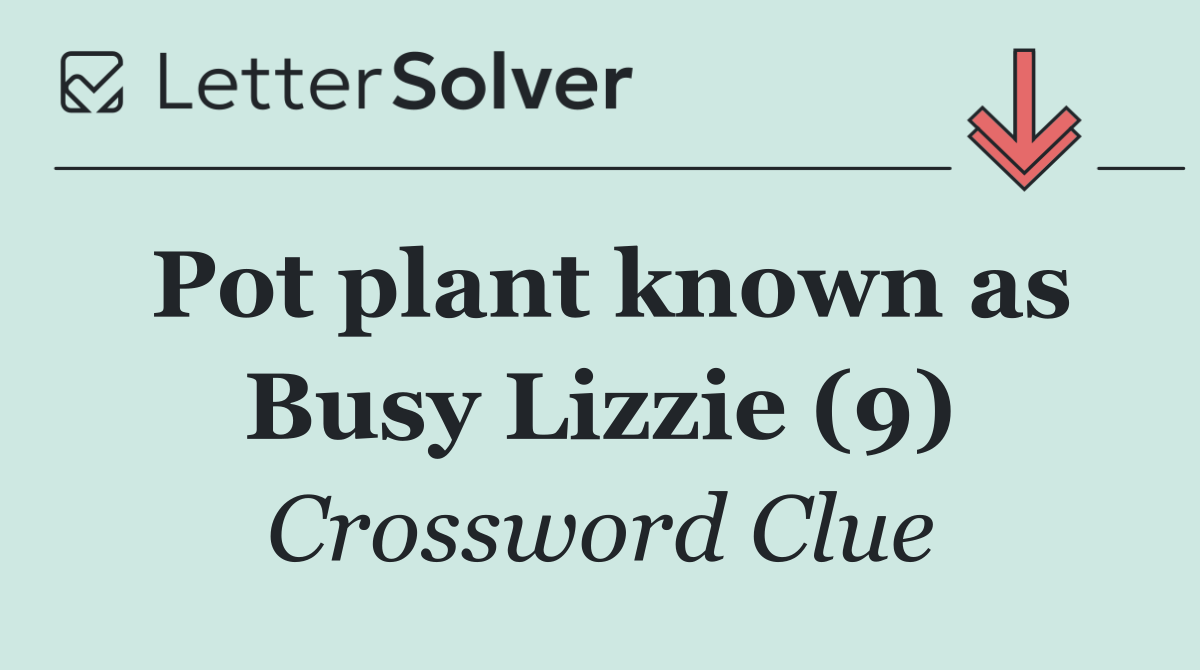 Pot plant known as Busy Lizzie (9)