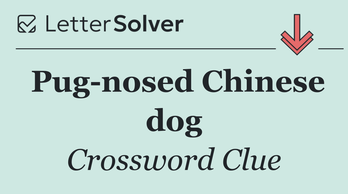 Pug nosed Chinese dog