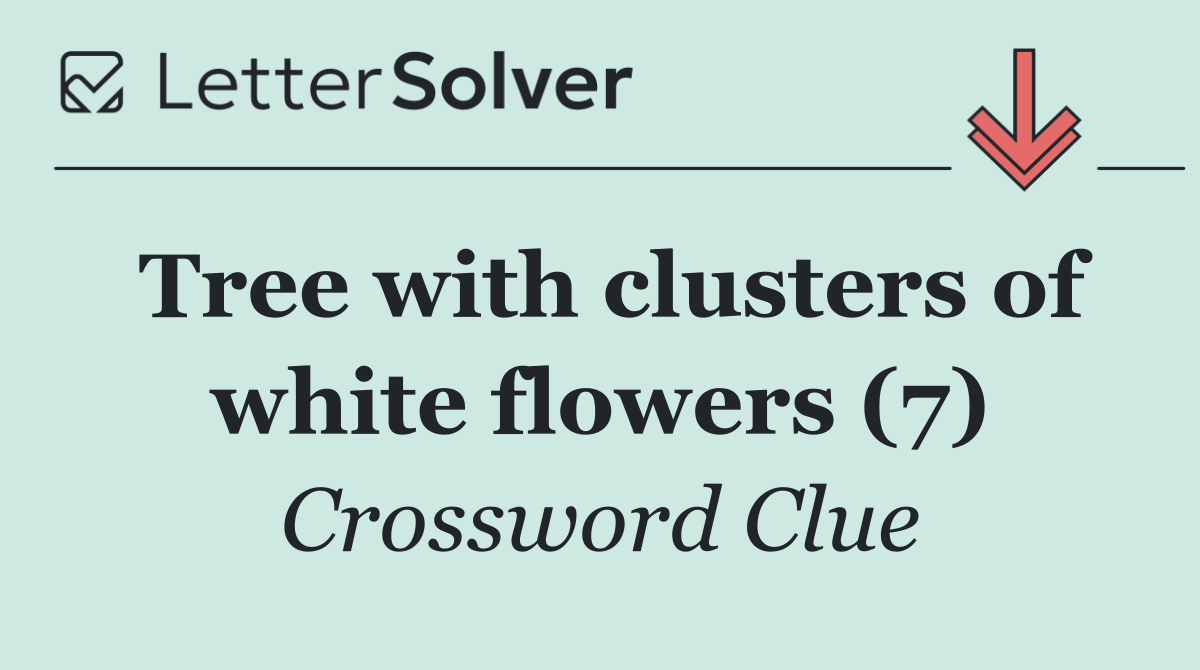 Tree with clusters of white flowers (7)