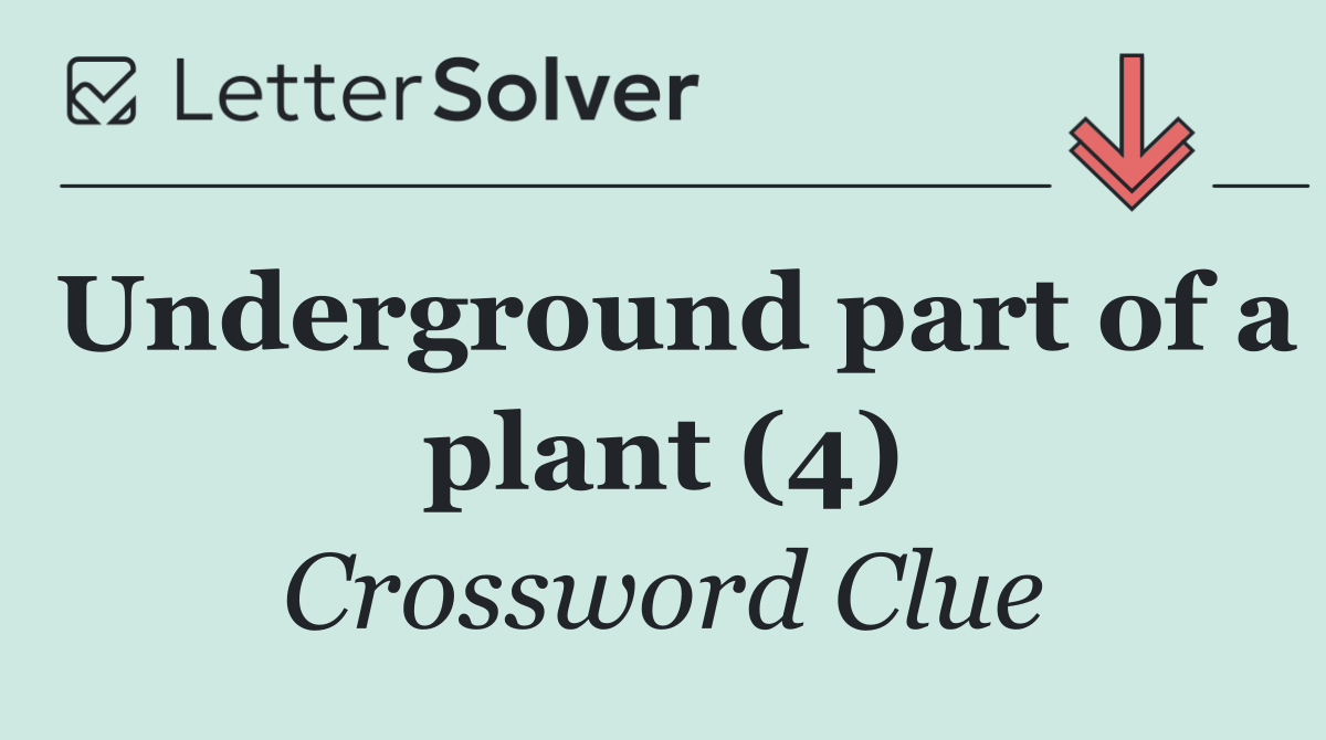 Underground part of a plant (4)